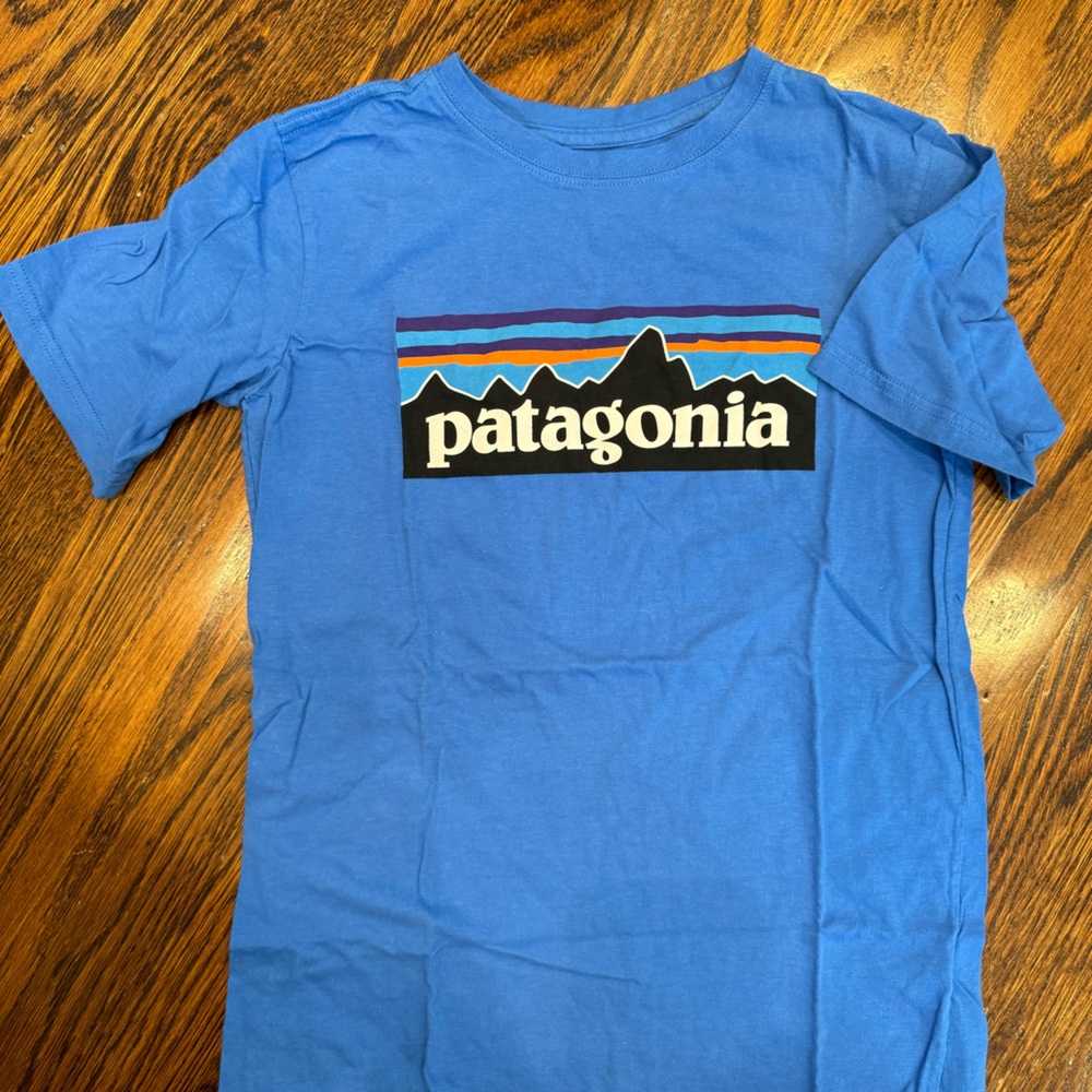 Boys Patagonia tee